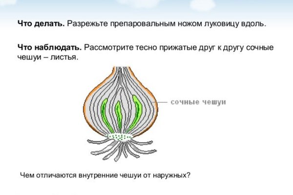 Кракен ат сайт