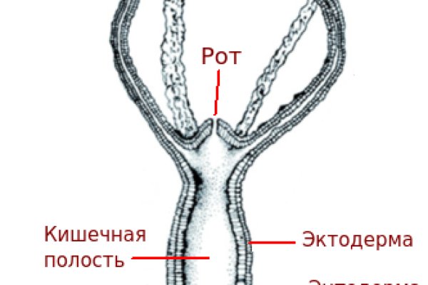 Кракен как зарегистрироваться